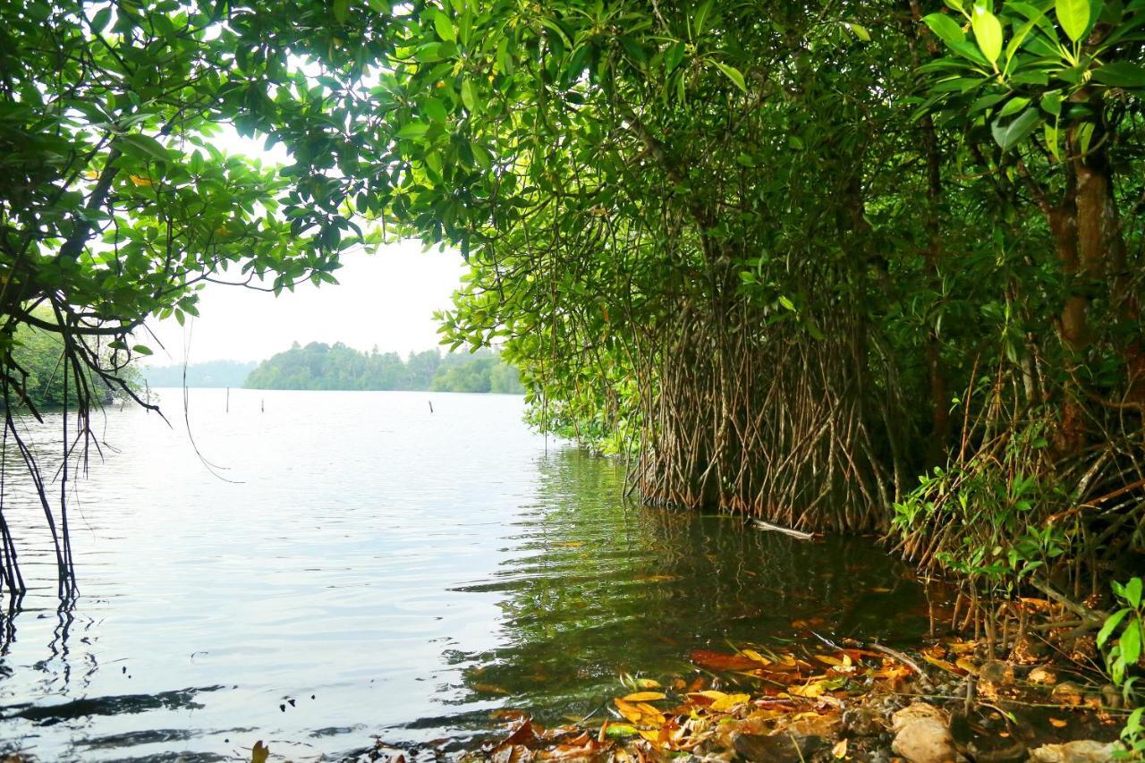 Global Lake Villa 希克杜沃 外观 照片